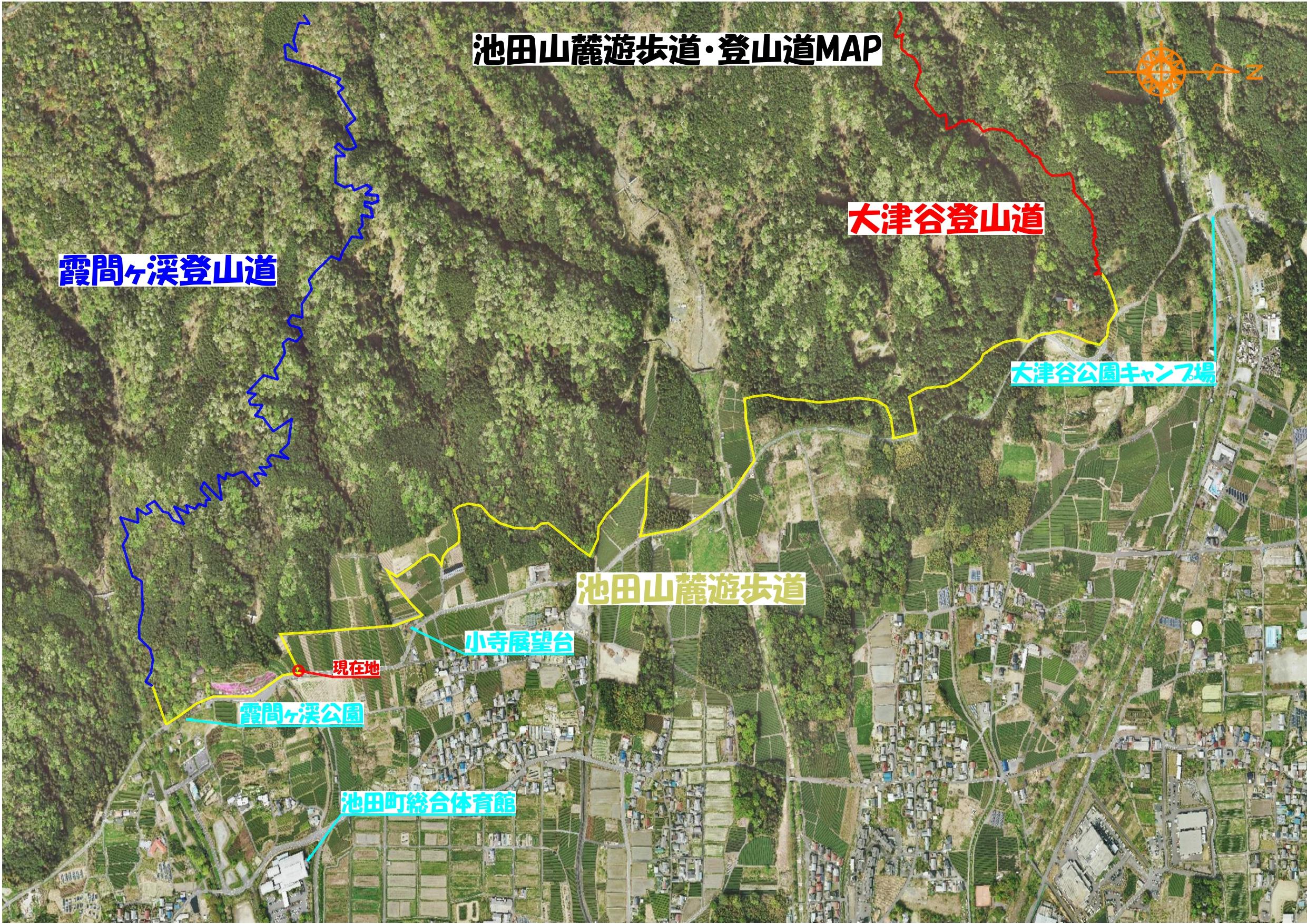 池田町「池田山麓遊歩道」春のお出かけにぜひ♪｜ブログ｜FM GIFU