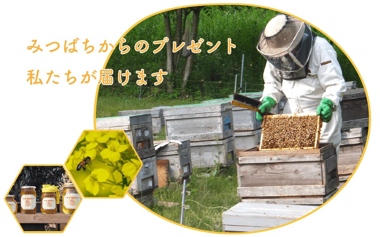 てくてく岐阜歩き 中津川～はちみつ工房 つちやとはちみつについて